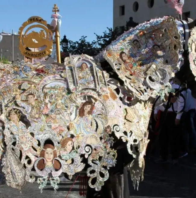 Los Caballos del Vino en Caravaca de la Cruz